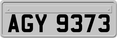 AGY9373
