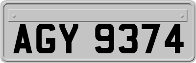 AGY9374