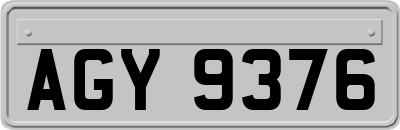 AGY9376