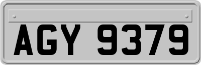 AGY9379
