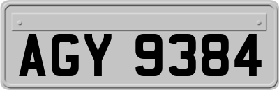 AGY9384