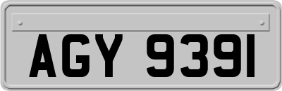 AGY9391