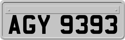 AGY9393