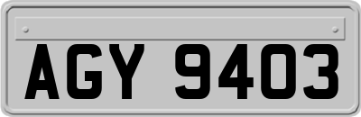 AGY9403