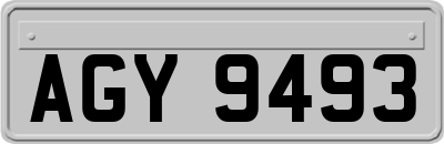 AGY9493