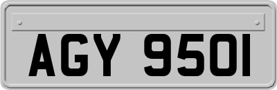 AGY9501