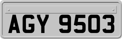 AGY9503