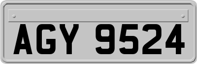 AGY9524