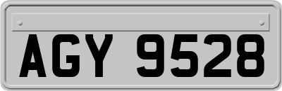 AGY9528