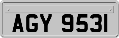 AGY9531