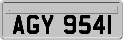 AGY9541