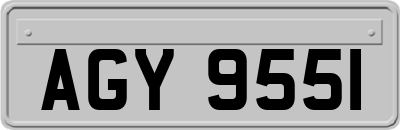AGY9551