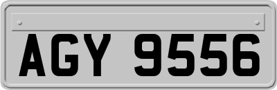 AGY9556