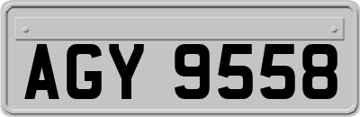 AGY9558