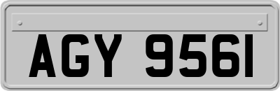 AGY9561
