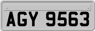 AGY9563
