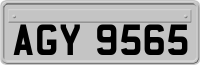 AGY9565