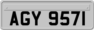 AGY9571