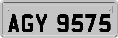 AGY9575