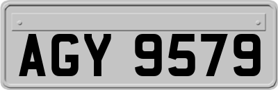 AGY9579