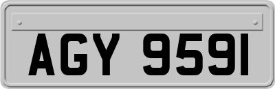 AGY9591