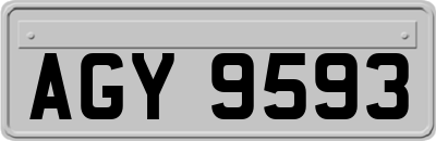 AGY9593