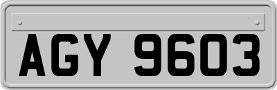 AGY9603