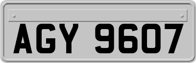 AGY9607