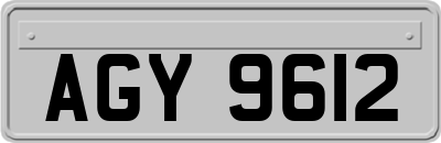 AGY9612