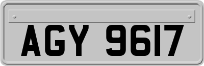 AGY9617