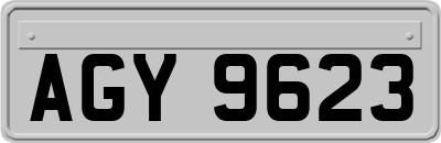 AGY9623