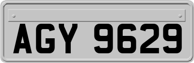 AGY9629