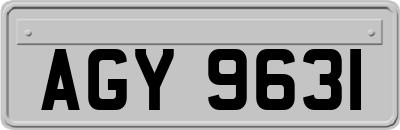 AGY9631