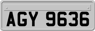 AGY9636