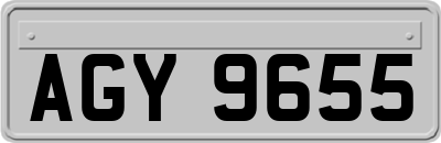 AGY9655
