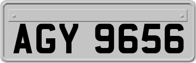 AGY9656