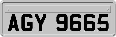 AGY9665