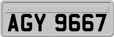 AGY9667
