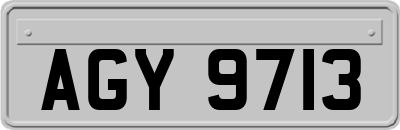 AGY9713