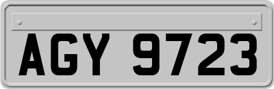 AGY9723