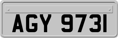 AGY9731