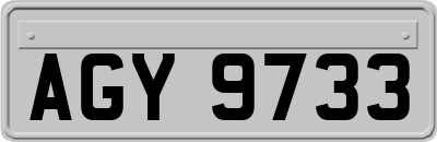 AGY9733