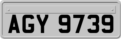 AGY9739