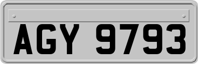 AGY9793