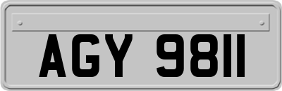 AGY9811