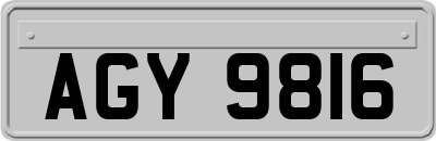 AGY9816