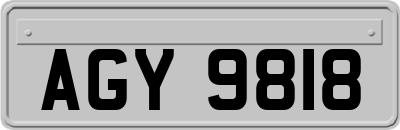 AGY9818