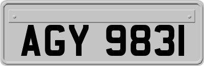 AGY9831