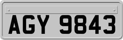 AGY9843
