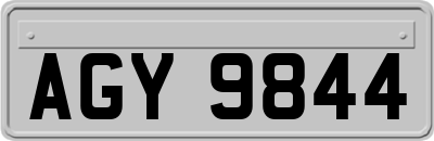 AGY9844